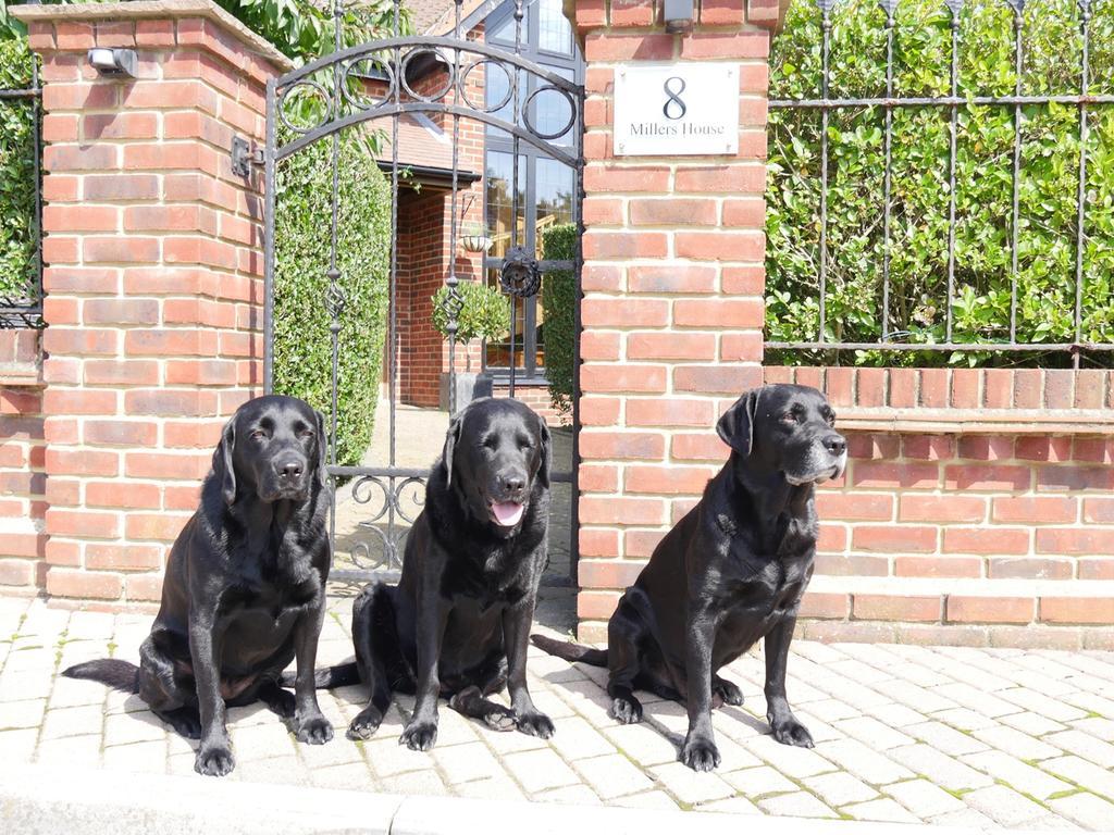 Millers House Boutique B&B Emsworth Exterior foto