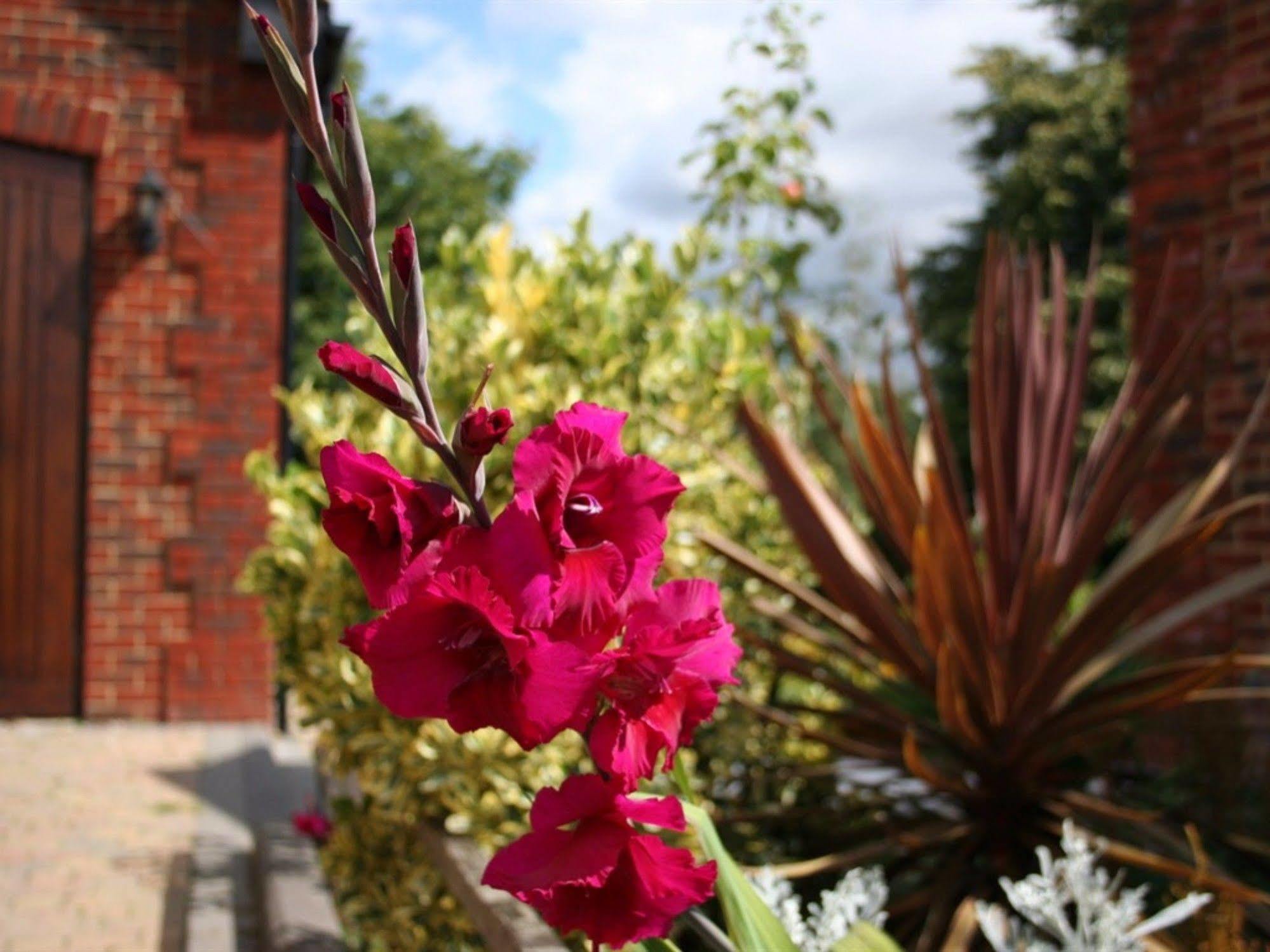 Millers House Boutique B&B Emsworth Exterior foto